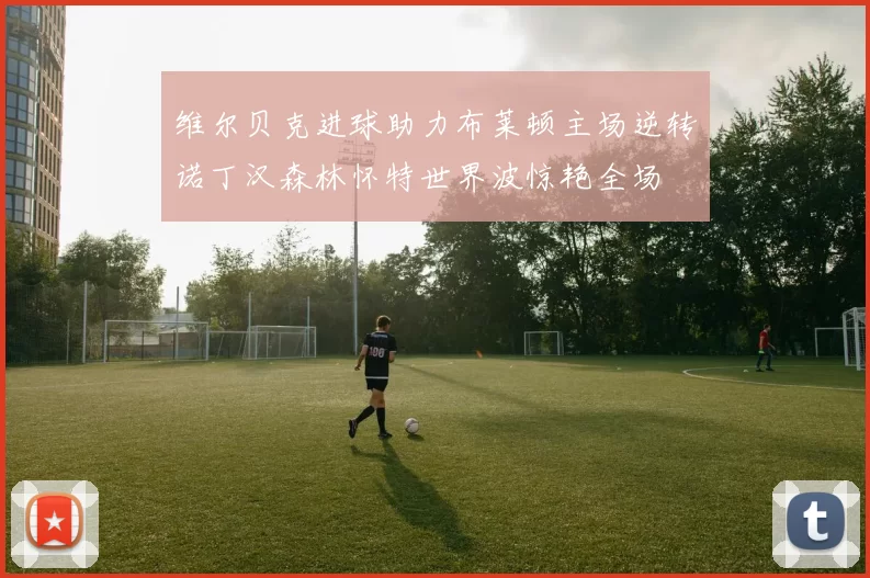 维尔贝克进球助力布莱顿主场逆转诺丁汉森林怀特世界波惊艳全场